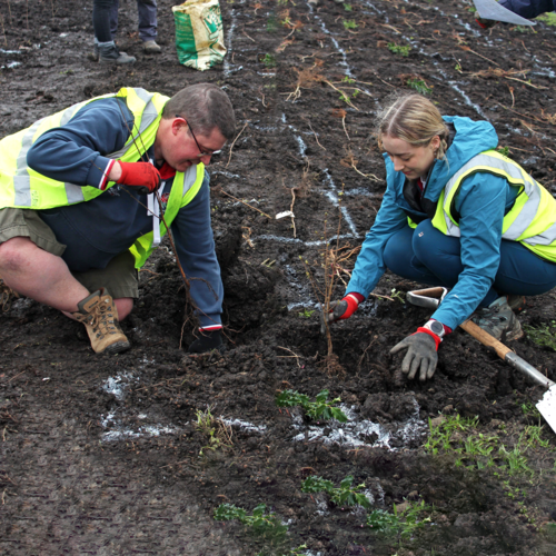 Planting Trees with Groundwork!